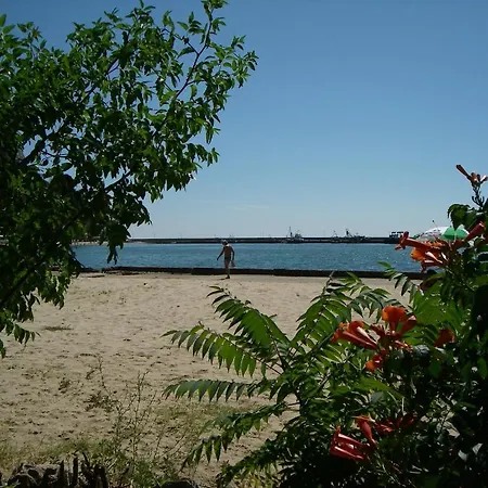Paradise * Cavarna
